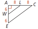 Activity 2